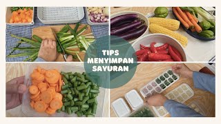 Tips Menyimpan Sayuran || Review Sayuran Setelah 7 Hari  Penyimpanan