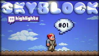 [Stream Cut] Terraria 1.4.5 - SkyBlock #1