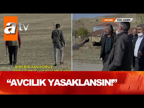 Köylülerle-Avcılar karşı karşıya - Atv Haber 6 Kasım 2020