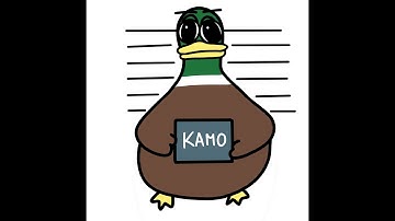 Kamo Finance -  Demo -  SUI Overflow Hackathon 2025