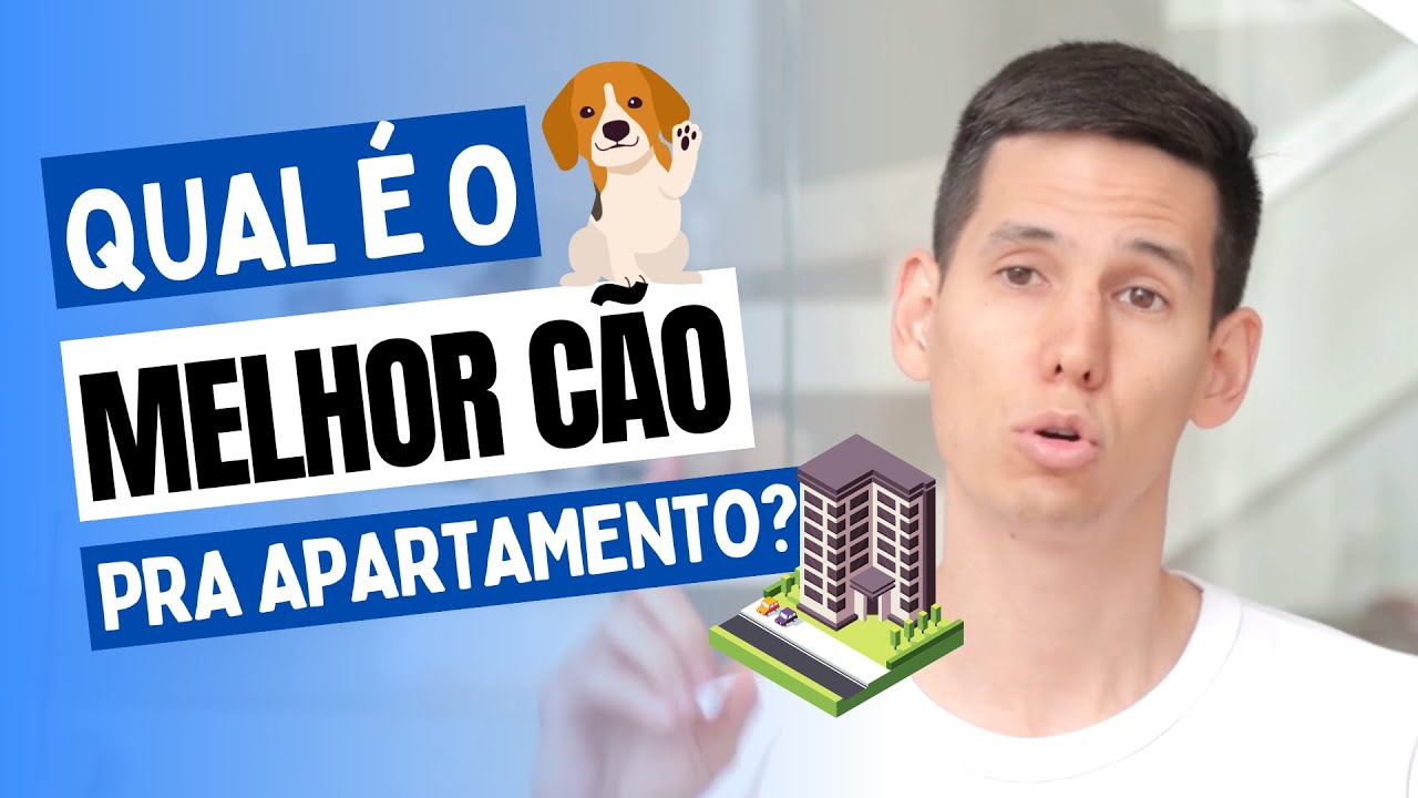 QUAL É O MELHOR CACHORRO PARA APARTAMENTO? YouTube