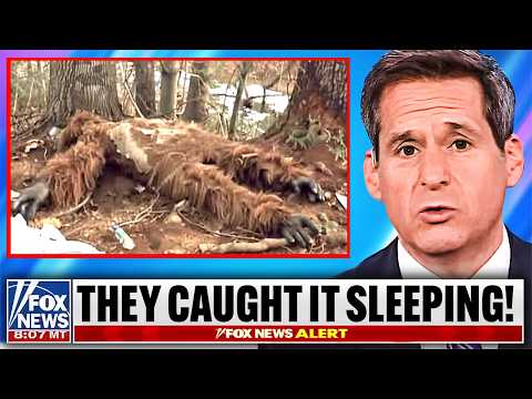 Expedition Bigfoot Researcher: