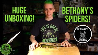 Huge Unboxing!  Bethany's Spiders