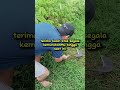 Semoga aku selalu bersyukur #shortvideo #motivasi #motivasihidup #youtube #katakatabijak