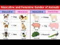 🐼Animals Masculine to Feminine Gender in English 🐷 Learn Opposite Gender Names Easily