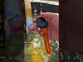 Outdoor Smartwatch NEU eingetroffen - Die stabilste Smartwatch 2026! Hyper Smartwatch PRO #watch