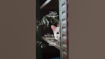 القرآن الكريم #المصحف #الرحمن #راحة_نفسية #quran #capcut