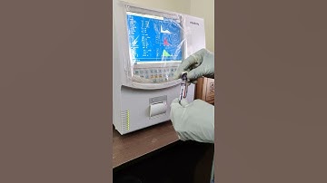 How To Run CBC Sample On The Cell Counter