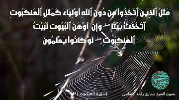 الأيه (41) سوره العنكبوت .. بصوت الشيخ مشاري راشد العفاسي