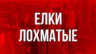 Елки лохматые (2014) - #рекомендую смотреть, онлайн обзор фильма