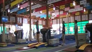 Kari Creech - Yurchenko Layout