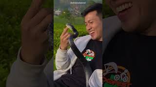 Man plays with pet cobra friend