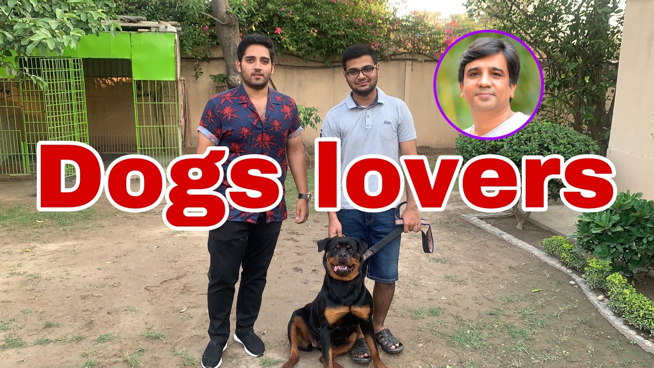 Dogs Lovers Must Watch This Video 2 June 2020 YouTube