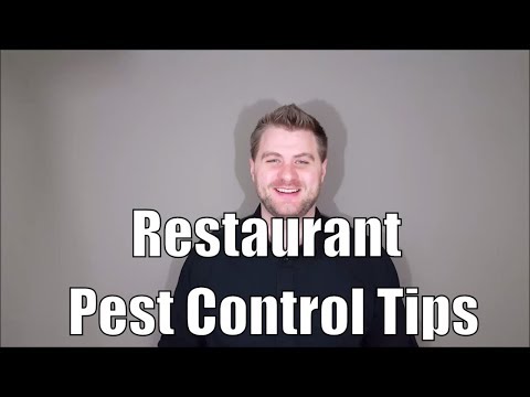 Restaurant Pest Control Tips: How To Keep Your Valentines Day Rush Pest Free