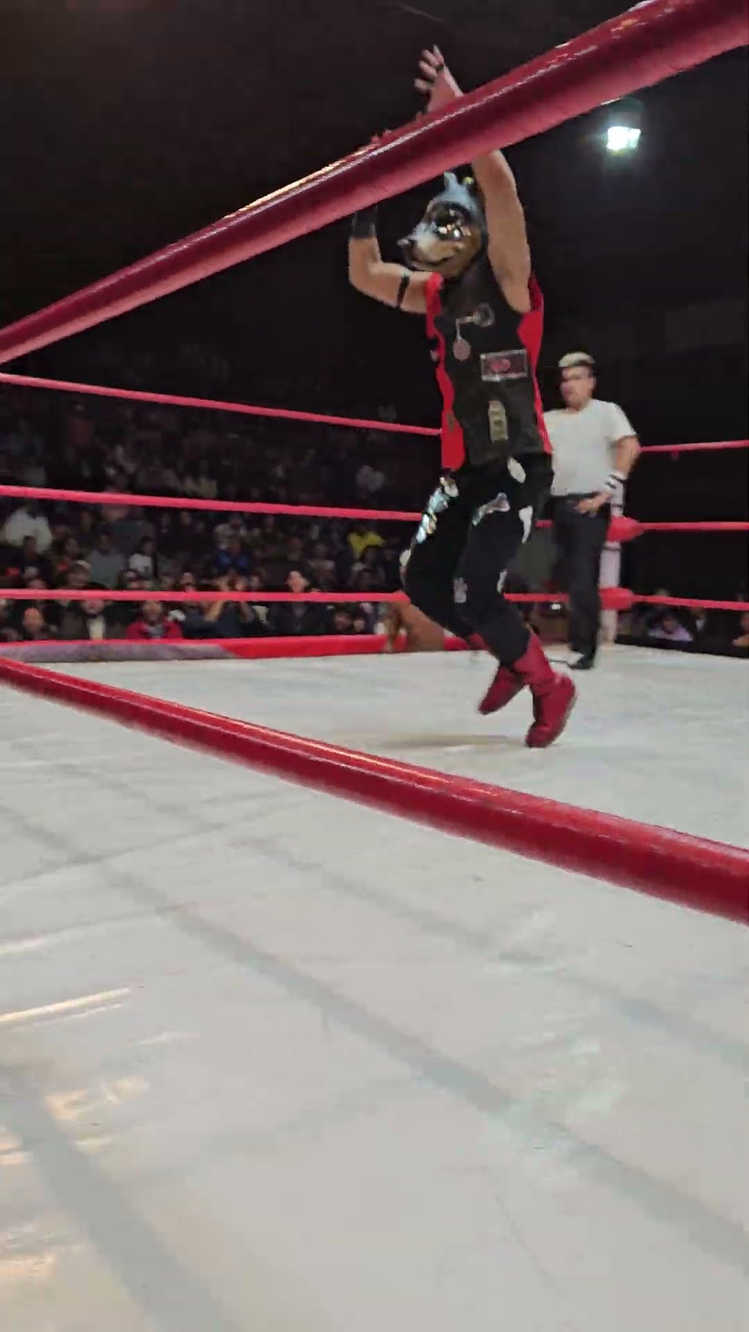 Mortal de Robocan con Lucha Libre BOOM