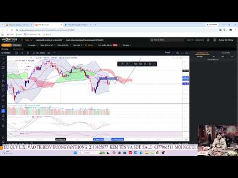 Thanh Khoản Thấp, Ít Cơ Hội, Kịch Bản GAS BSR PLX DIG CEO DXG CII HPG TCB VIC VHM MWG MSN...VNINDEX