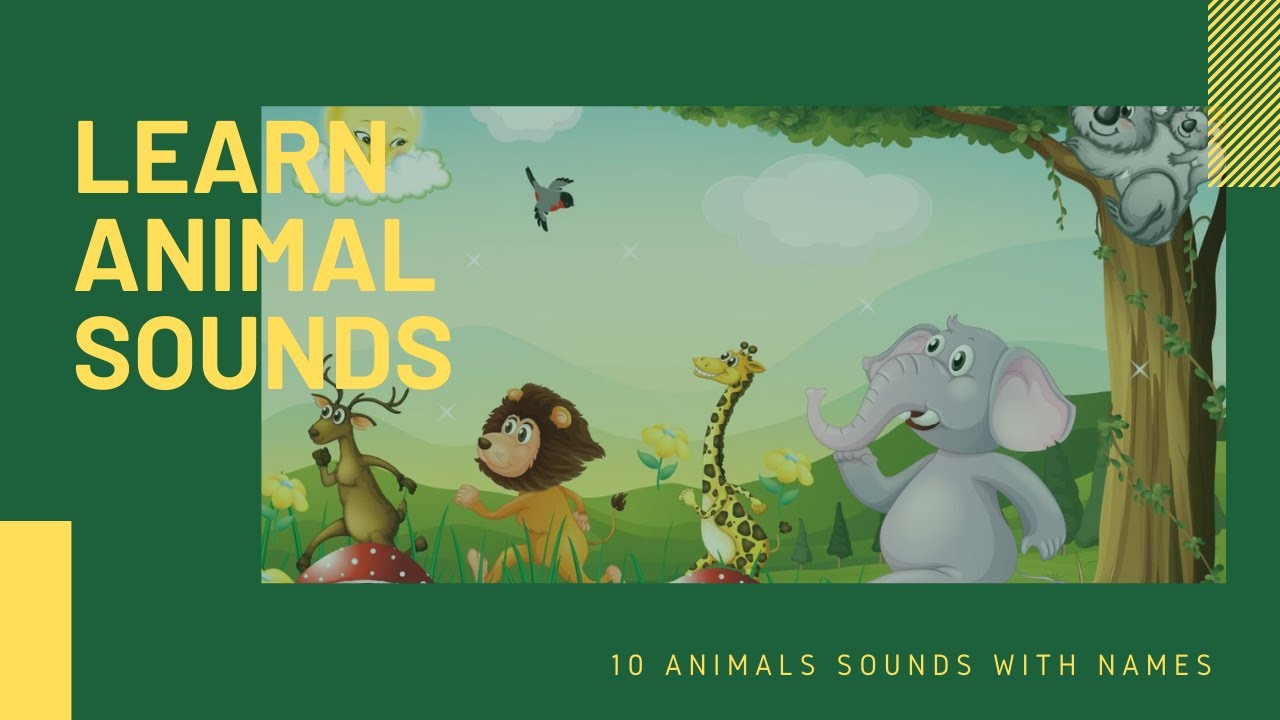 preschool activities sinhala learn animal sounds preschool lesson