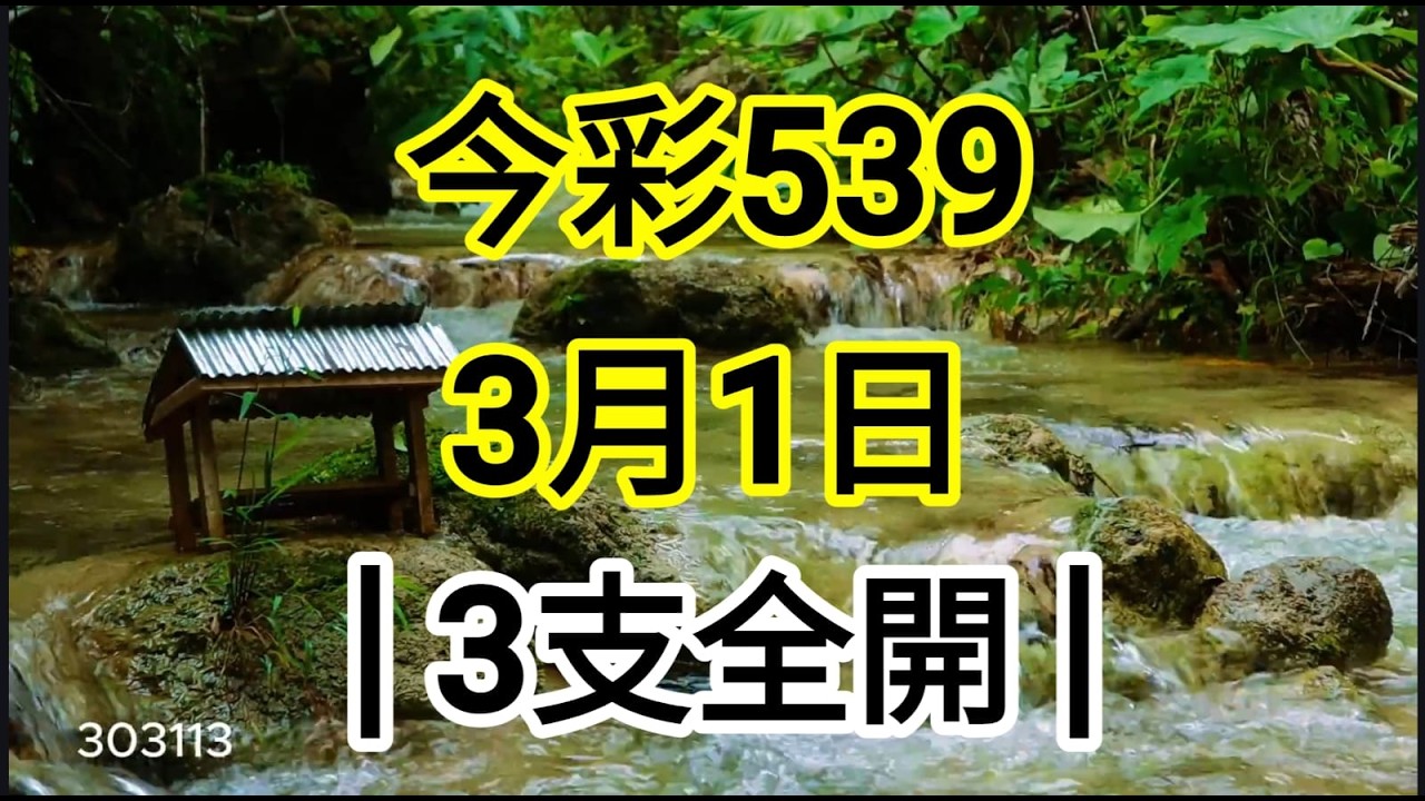 今彩539 3月1日 | 共享 39預測 今天 | 3支全開 阿憲539  #soundwaterrelaxing