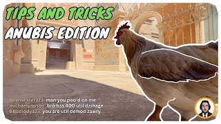 Tips And Tricks For Anubis That You Need To Know...