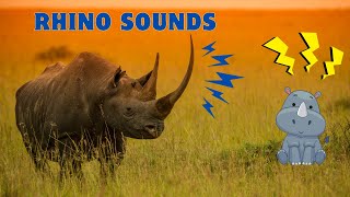 Rhino Sounds And Voices Aggressive Growls And Cute Baby Squeaks