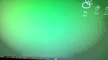 A bug literally in my monitor