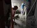 The Invisible Pain of the Working Class