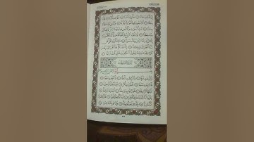 الباقي من سورة النبأ بصوت نور الدين