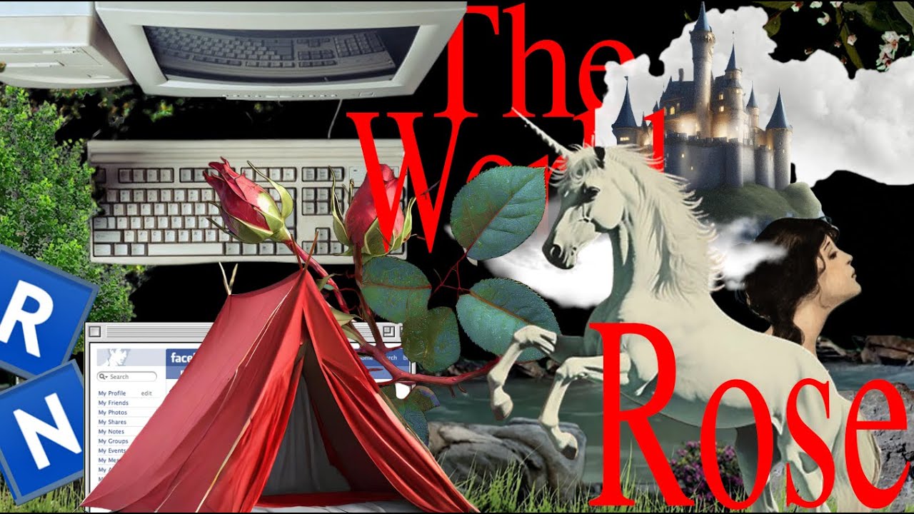 Сталкер обратного отсчета и его Роза Мира