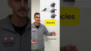 EVOLUTION (AP Bio 7.1) in under a minute! #apbio #apbiology #collegebiology #evolution