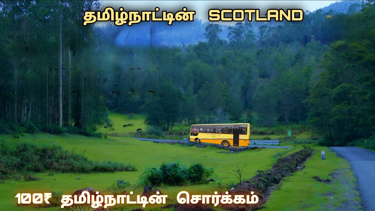 💢 தமிழ்நாட்டில் ஒரு முறையாவது பார்க்க வேண்டிய சொர்க்கம் 😍