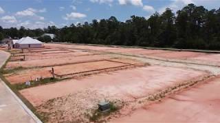 New home site in Covington, LA off hwy 190. Covington Place Cottages by DSLD