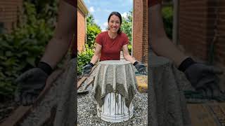 Amazing DIY Blue Cement Bonsai Planter 🌿 Easy Handmade Cement Pot Tutorial #shorts