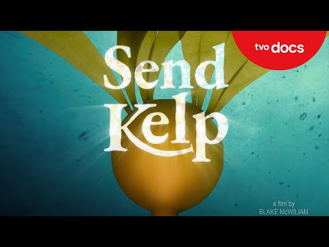 Send Kelp TVO Docs 