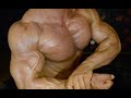 Massive Huge Biceps with thick veins - amazing size and vascularity