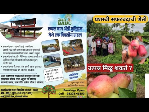 कशी केली महाराष्ट्रामध्ये यशस्वी सफरचंदाची शेती ? | Apple farming in maharashtra