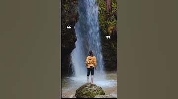 Giữa vô thường, có một người ở lại lặng thầm - ấy là tri kỷ #triki #trietlysong