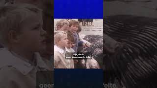 Toen Een Gestrande Vinvis Nog Een Attractie Was 1984