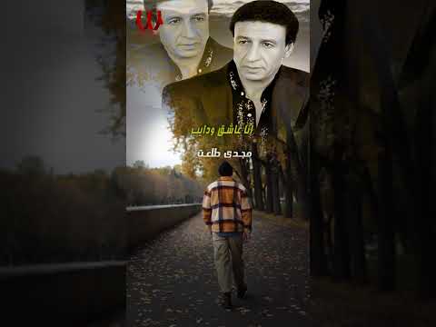 البخت اللى مايل مايل شيال الحمول مجدى طلعت