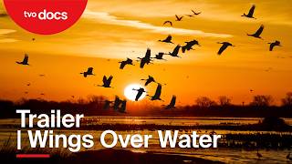 Trailer | Wings Over Water | Stream Now! |TVO Docs