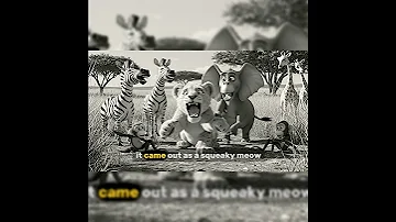 Simba The Lion Who 