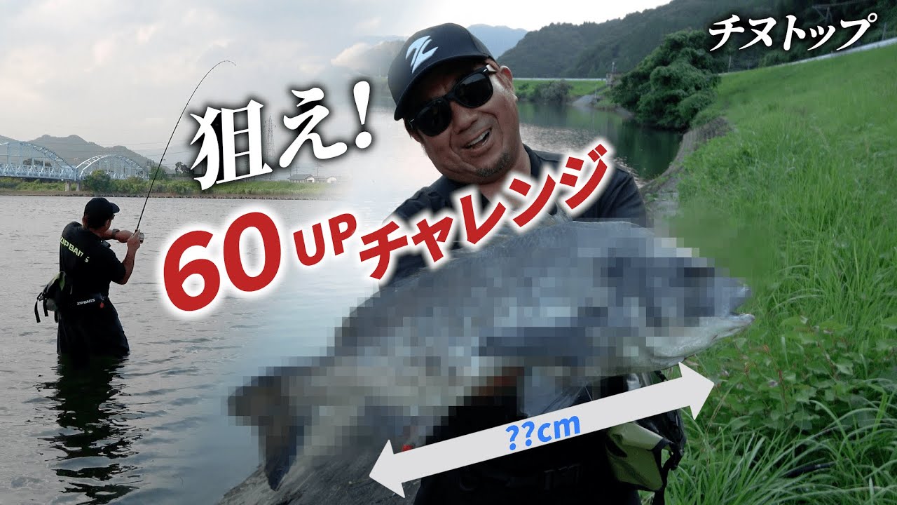 缶バド リドルベイツ ZIPBAITS ジップベイツ