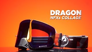 Dragon NFXs Collage