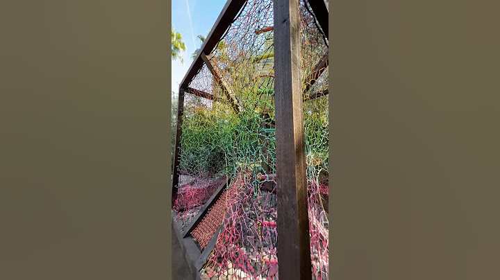Dad builds rainbow maze playground! 😲
