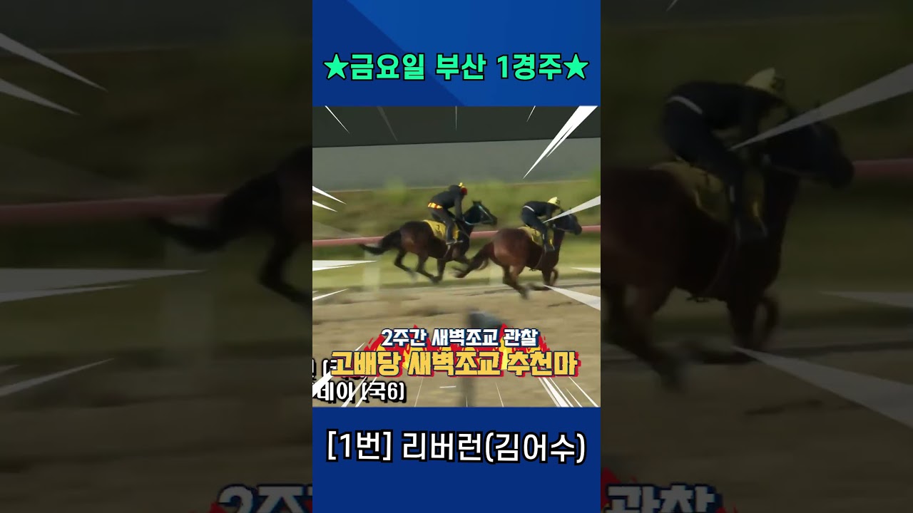 5월22일 금요일 부산 1경주!! 2주간 훈련보인 강백호의 새벽조교 쏘스마!!