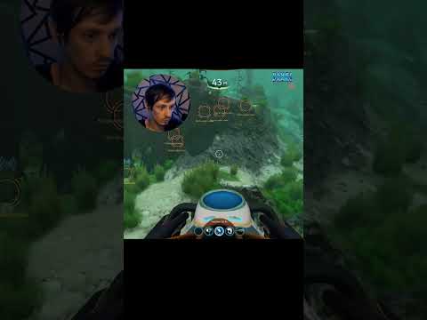 СТАЛКЕР ЗУБ ПОТЕРЯЛ! Приколы и баги 14 серии #subnautica  #shorts  #сабнатика