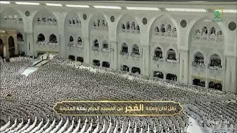 صلاة الفجر من رحاب المسجد الحرام الشّيخ صالح عبدالله حميد ماتيسر من سورة البقرة📆١٣جمادى الأولى١٤٤٧