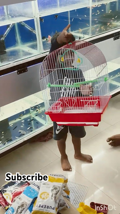 Love birds cage fixing #wholesaleandretail #aquarium #aquariumfish #pets #lovebirds #cage