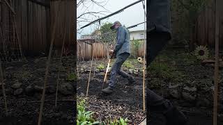 Spring Garden Bed Prep