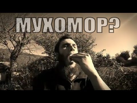 Отшельник Трип Мухоморы | Мужик Ест Мухомор | Танец Мухомор | Юмор