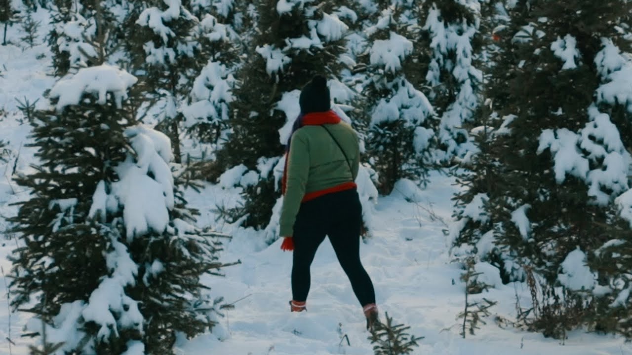 The Christmas Tree Farm - YouTube